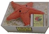 I SEA YOU Bath Set- Starfish