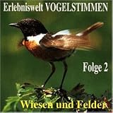 Erlebniswelt Vogelstimmen Vol.2