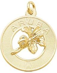 Rembrandt Charms Aruba Hibiscus Charm