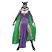 Search : Batman Legacy Catwoman Collector Figure