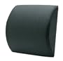 Health-o-Meter HM1101N Memory Foam Lumbar Travel Cushion