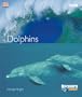 Dolphins