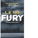 Fury