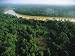 An Aerial View of Borneo Asian Elephant Habitat Photographic Poster Print, 18x24