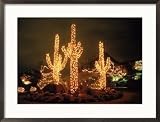 Cacti Decorated for Christmas, Phoenix, AZ, Cactus & Cacti Framed Photographic Print by Ewing Galloway, 29x22