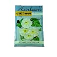 Heirloom Seeds: Moonflower Evening Glory Ipomoea