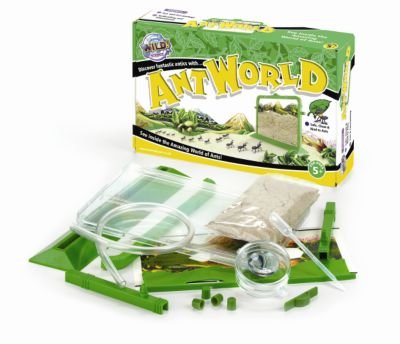 Childrens Toyshop  Toys : Ant World