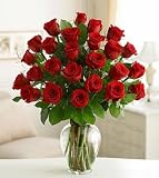 Same Day Flower Delivery Double Touch of Elegance 2 Dozen Roses