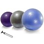 65cm Anti-burst Rhino Skin Stability Ball and Dual Action Hand Pump