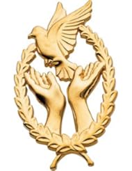14K Yellow Gold 29.25X17.75 mm Remembrance Lapel Pin