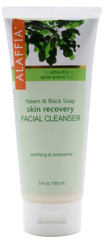 Neem & Black Soap Skin Recovery Facial Cleanser
