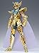 BANDAI Saint Cloth Myth Aquarius Camus (Japan Import)