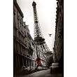 (24x36) La Veste Rouge (The Red Jacket, Paris) Art Poster Print