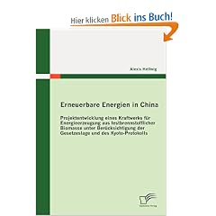 Erneuerbare Energien in China: Projektentwicklung eines Kraftwerks f�r Energieerzeugung aus festbrennstofflicher Biomasse unter Ber�cksichtigung der Gesetzeslage und des Kyoto-Protokolls