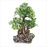 EVERLASTING BONSAI ON ROCK
