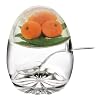 Epicurean Jampot with Spoon Orange