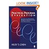 Practical Program Evaluation: Assessing and Improving Planning, Implementation, and Effectiveness