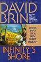 Infinity's Shore (Bantam Spectra Book) [Hardcover]