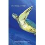 The Meaning of Flight