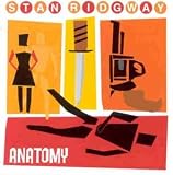 Anatomy