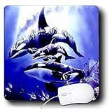 Whales - Killer Whale - Mouse Pads