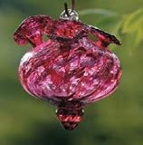 Bird Brain Wine Red Charisma Hummingbird Feeder