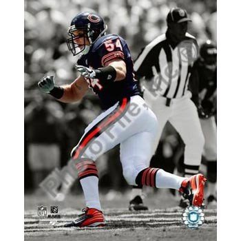 Brian Urlacher Bears Spotlight 8x10 Photo