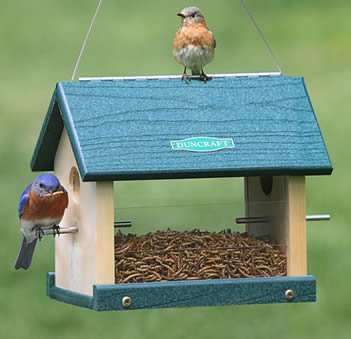 Eco-Strong Bluebird Feeder