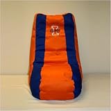 College Logo Video Bean Bag - Illinois
