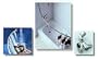 5 ft. Crescent Shower Rod - White