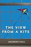 View from a Kite