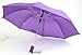 Umbrella Lady Auto Fold Over Sized Color - 42 inch