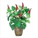 ARTIFICIAL CHILI PEPPER FAKE PLANT IN TERRA COTTA POT