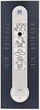 The Weather Channel WS-7390TWC Wall Hanging Wireless Weather Station