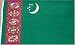 Turkmenistan National Country Flag - 3 foot by 5 foot Polyester (New)