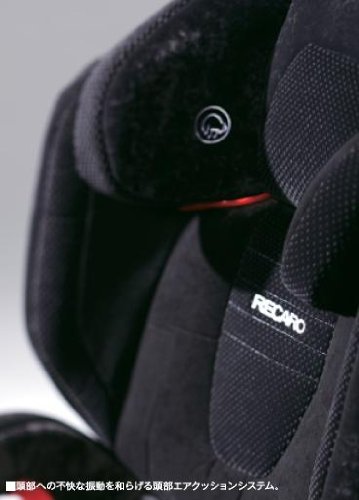 RECARO Monza Black/Silver