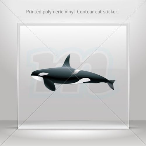 Decal Cartoon Killer Whale Orca Tablet Laptop Weatherproof Sports car Bicycle (16 X 7.00 In)