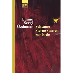 Seltsame Sterne starren zur Erde: Wedding- Pankow 1976/77