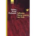 Seltsame Sterne starren zur Erde: Wedding- Pankow 1976/77
