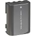 Canon NB-2LH Rechargeable Battery Pack for Rebel XT/XTi Digital SLR Cameras and VIXIA HV Series and ZR Series Camcorders