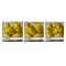 Set of 3 Lemon Vase Fillers Sets
