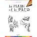 La main et le pied : Forme, proportion, geste et action