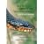 North American Watersnakes: A Natural History (Animal Natural History Series, V. 8)