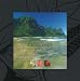 Kauai Edge: A Photographic Portfolio