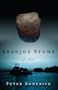 Araujo's Stone: A Novel