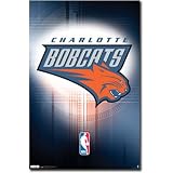(22x34) Charlotte Bobcats Logo Sports Poster Print
