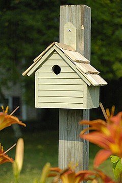 Cape Cod Wren House