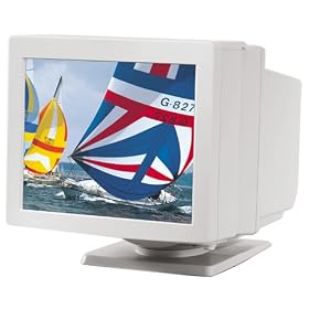 Fellowes Magnifying Anti-Glare Filter 16/17 In