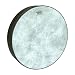 Musical Instruments : Remo Frame Drum, FIBERSKYN 3, 12" Diameter, 2.5" Depth