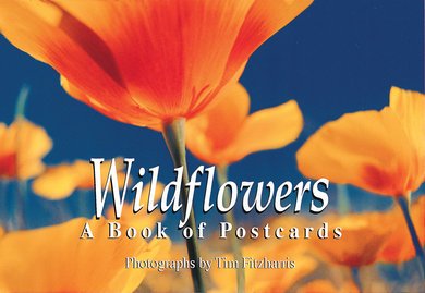 printed bags: Wildflowers: A Book of Postcards